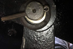 655450867_4376946215858443_1553474571085626867_n